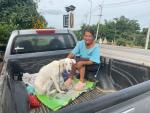โครงการควบคุมประชากรสัตว์(ผ่าตัดทำหมันสุนัขและแมว)ตามพระราชด